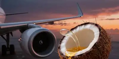 O combustível de coco que "engana" os motores de aviões e revoluciona a aviação sustentável