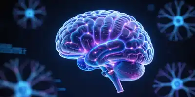 O Software siibra: A Nova Fronteira da Neurociência que Unifica o Mapa do Cérebro Humano em uma Única Plataforma