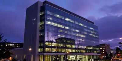 Microsoft Reduz Presença do Copilot no Windows 11: Um Novo Capítulo na Era da Inteligência Artificial