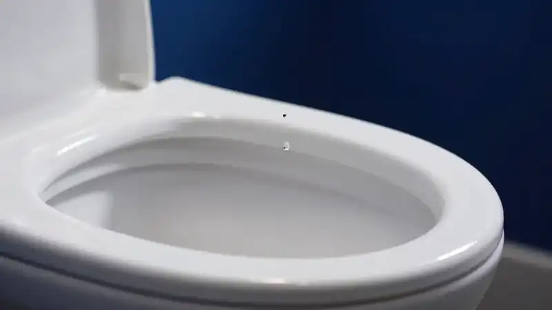Truque do Sal: O Segredo Noturno para um Vaso Sanitário Impecável e Sem Odores